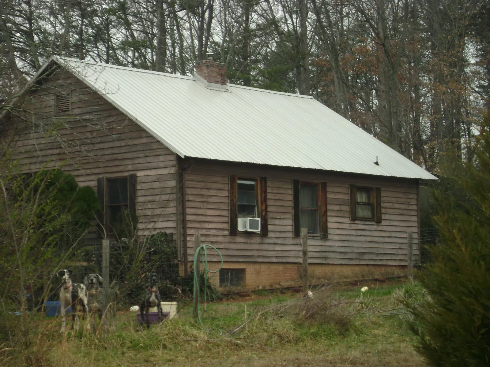 White metal roof on an old wood sided farmhouse, from a Asphalt Shingle Roof Repair job in North Dartmouth